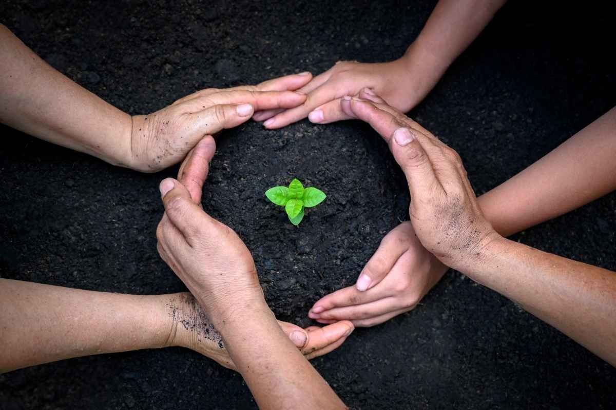 70 Best Environment Idioms to Improve ESL Speaking